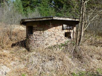 Excursión A pie Reichelsheim (Odenwald) - Geo-Lehrpfad Ober-Kainsbach : Baustein, Erz und schwerer Spat (orange) - Photo