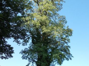 Randonnée A pied Geretsberg - Naturweg Haigermoos - Photo