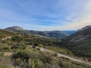 Excursión Senderismo Gémenos - le baou de Bertagne au départ du col de l'Espigoulier  - Photo