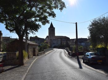 Percorso A piedi Saint-Laurent-de-la-Cabrerisse - Le Cirque De Viviès - Photo