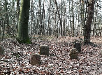 Trail On foot Freigericht - Somborn (Parkplatz Spessartblick) - Rundwanderweg Eichhörnchen - Photo