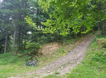 Randonnée V.T.T. Seyssins - Les Hauts du Peuil en VTTAE  - Photo