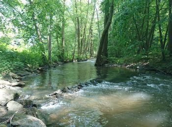 Tour Zu Fuß Forstwald - Waldlehrpfad - Photo