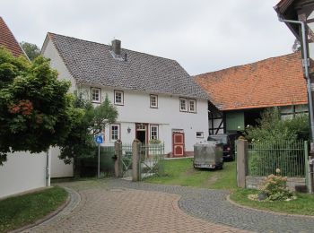 Percorso A piedi Bad Sooden-Allendorf - Premiumweg P7 Söder Wald - Photo