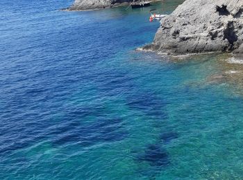 Tour Wandern el Port de la Selva - Cala Tamarina vers cala Fornels. - Photo