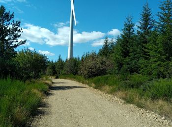 Randonnée Marche Luc - étape 3 - Photo