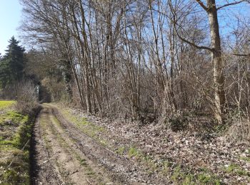 Percorso Marcia Burdinne - oteppe - Photo