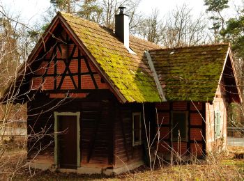 Excursión A pie Herrenberg - SchönbuchTrauf - Photo