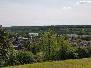 Randonnée Marche Brionne - 20190516-Le Tour de Brionne - Photo