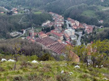 Tour Zu Fuß Campomorone - Isoverde (Acquedotto Galliera) - Passo Prato Leone - Photo