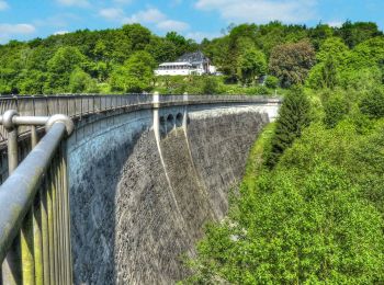 Tocht Te voet Halver - Glörtalsperre Rundweg A1 - Photo