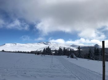 Tour Wandern La Tour-d'Auvergne - La stèle - Chastraix raquetttes - Photo