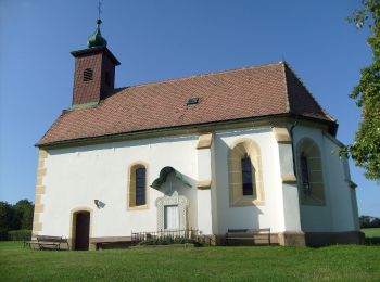 Excursión A pie Gemeinde Kirchschlag - Schlagmichlweg (Rundwanderweg) - Photo