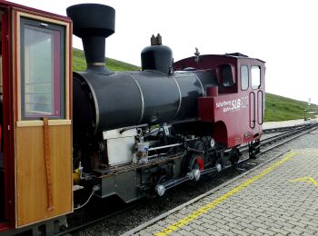 Randonnée A pied St. Wolfgang im Salzkammergut - Wanderweg 27 - Photo