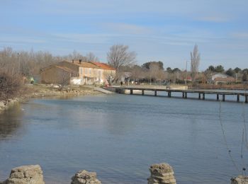 Percorso Marcia Grans - PF-Grans - Miramas Lac de Saint Sulpi - Grans - Photo