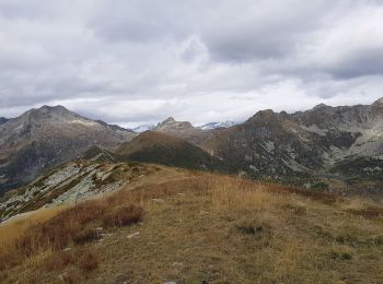 Tour Zu Fuß Crevoladossola - A07 - Preglia - Cima Lariè - Photo