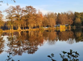 Randonnée Marche Contrexéville - Contrexeville - Les lacs de la Folie, de saulxures et des récollets - Photo