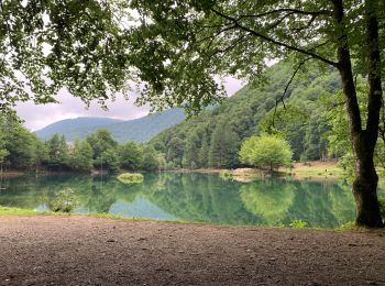 Trail Walking Bethmale - Col de la core  - Photo