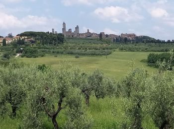 Trail Walking San Gimignano - Pancolle / Colle val.d'Elsa - Photo