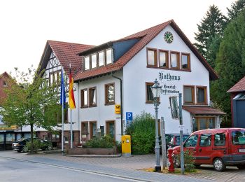 Randonnée A pied Grasellenbach - Rundwanderweg Wahlen 1: Hammelberg Weg - Photo