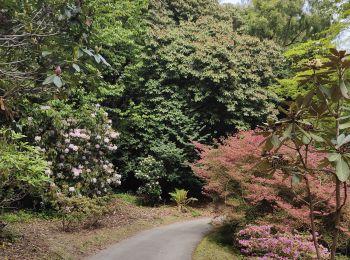 Trail Walking  - Visite du VILLAGE de Portmeirion  - Photo