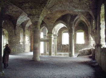 Excursión A pie Villers-la-Ville - Villers par Monts et par Vaux - Photo