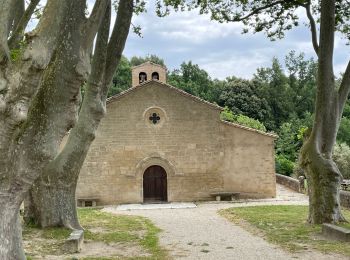 Randonnée Marche Vaugines - PF-Vaugines - Cucuron - l'Ermitage - Vaugines - 17.06.2021 - Photo