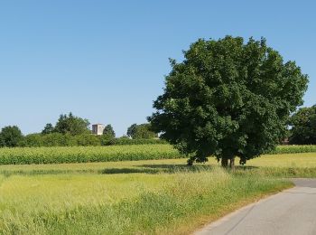 Tour Elektrofahrrad Cravans - Cravans-Les Epeaux - Photo