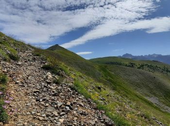 Randonnée Marche Saint-Dalmas-le-Selvage - Crête de la Blanche - Photo