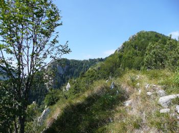 Tour Zu Fuß Bagolino - Bagolino (Ponte di Selva) - Monte Pizza - Photo