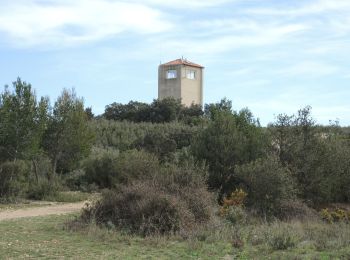 Tocht Stappen La Fare-les-Oliviers - PF-La Fare-les-Oliviers - R - Variante - Photo