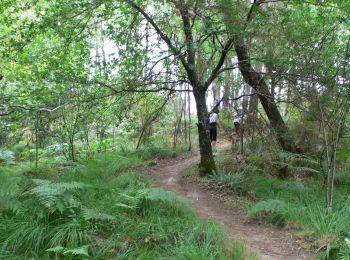 Excursión Bici de montaña Rion-des-Landes - 8977182-Vtt R&B Goua du port Garricq Carcen Garricq Retour - Photo