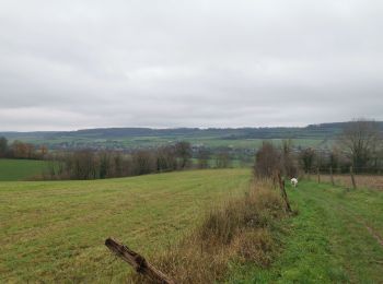 Randonnée Marche Meulers - meulers bois de Pimont freuleville - Photo