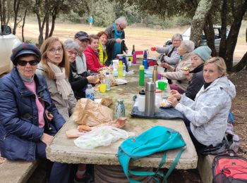 Trail Walking Fons-sur-Lussan - LA LEQUE -  FONS SUR LUSSAN - Photo