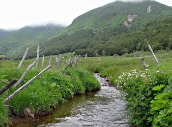 Trail Walking Picherande - Chareire_Fontaine_Salee_4 - Photo