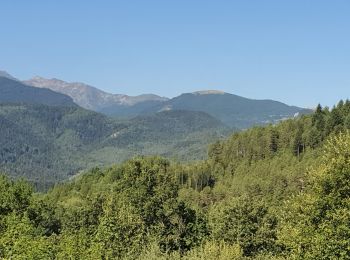 Trail Walking Fougax-et-Barrineuf - cols du figuier et de Ballussou et croix de Morenci depuis Fougax 09 - Photo