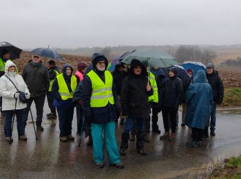 Excursión Senderismo Tubize - Promenade Piedescaus à Tubize - Photo