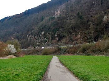 Randonnée A pied Neckarsteinach - Rundwanderweg Neckarsteinach Unter den 4 Burgen 2: Brunnenberg-Weg - Photo