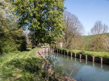 Randonnée Marche Cour-Maugis sur Huisne - Le Bois de Sublaine 6.2 Km - Photo