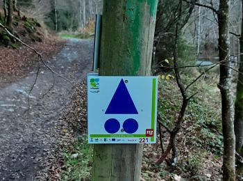 Excursión Bici de montaña La Roche-en-Ardenne - 17 novembre - Photo
