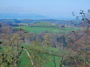 Tocht Te voet Schwäbisch Gmünd - Glaubensweg 8 - Photo