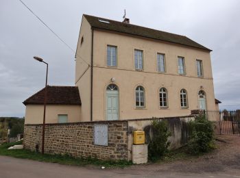 Percorso A piedi Villeneuve-sous-Charigny - Le Sentier des Oiseaux - Photo