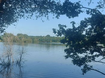 Randonnée Marche Mialet - Millet la vallée du Coly - Photo