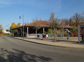 Tocht Te voet Wildberg - DE-SWV Blaue Raute, Ehningen - Gültlingen - Photo