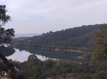 Randonnée Marche Bormes-les-Mimosas - Bormes Les Mimosas Tour de la Berle - Photo