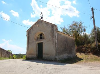 Tour Zu Fuß Magione - Montemelino - Monte Penna - Monte Sperello - Monte Castiglionaccio - Photo