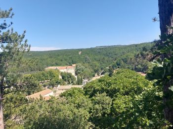 Randonnée Marche Réauville - Reauville-Le Fraysse-Aiguebelle 16km - Photo