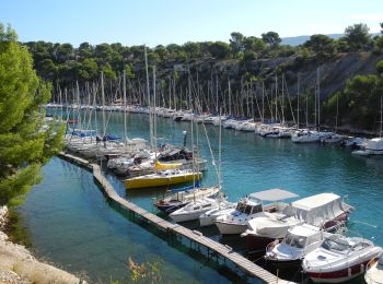 Tour Wandern Cassis -  3 Calanques 8/01/25 - Photo