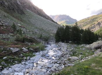 Tocht Stappen Val-Cenis - Lac Noir à Bramans  - Photo