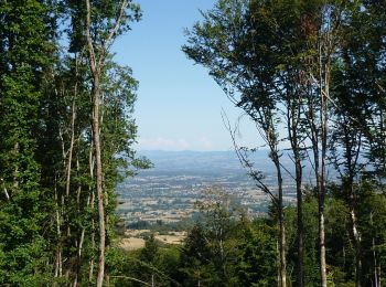 Excursión Bici de montaña Mably - Activité l'après-midi - Photo